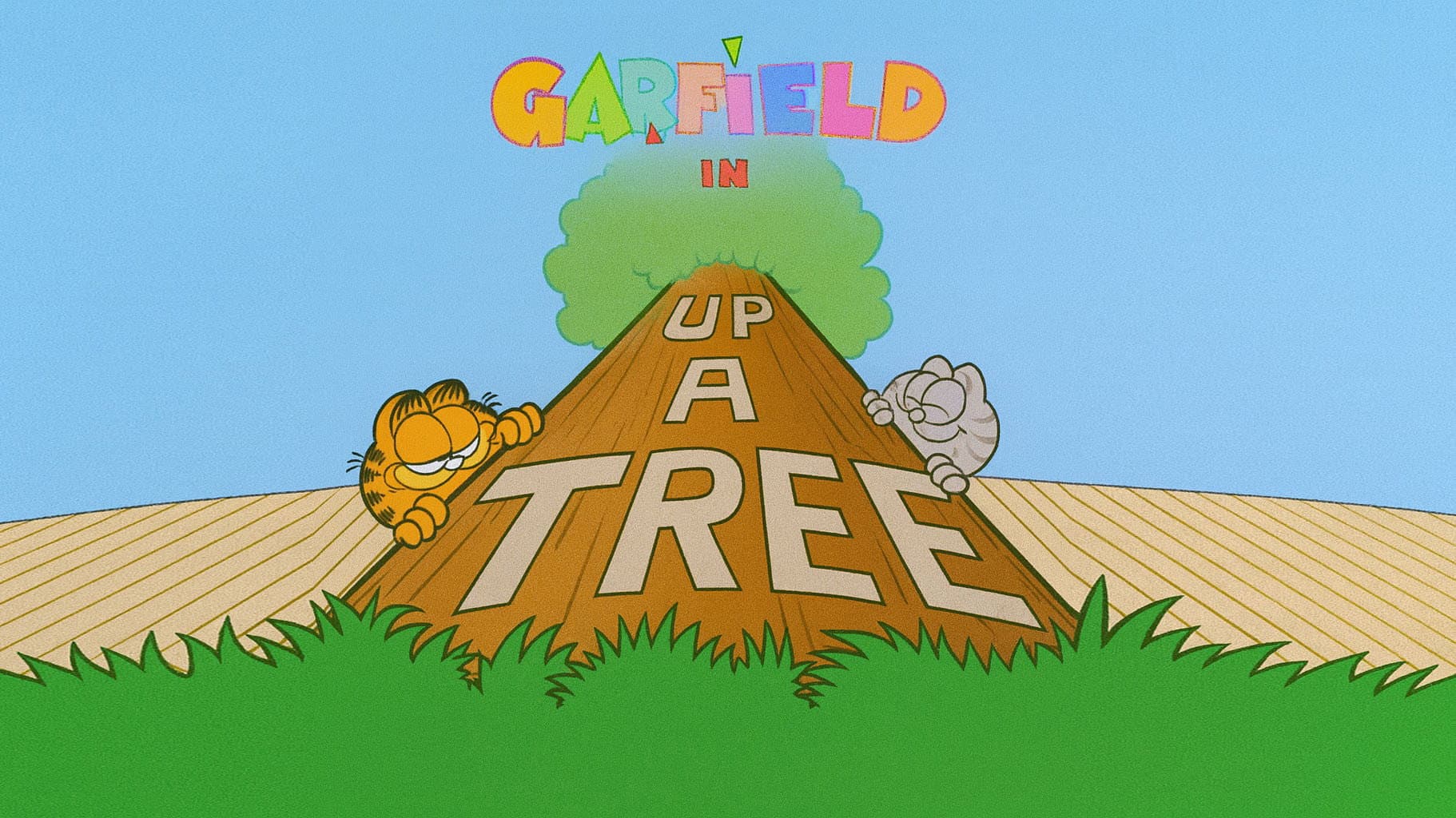Up a Tree