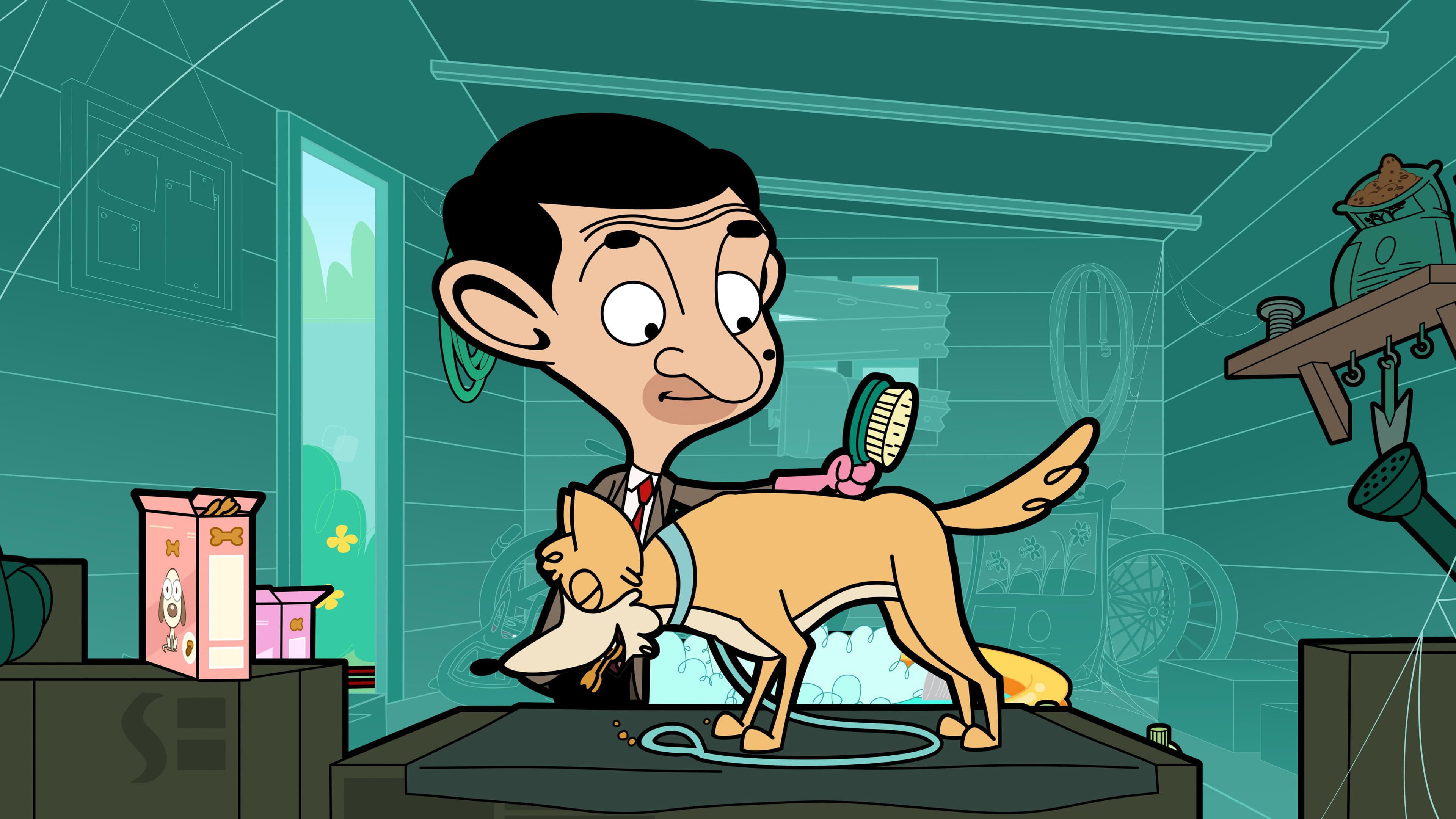 Bean The Pet Groomer