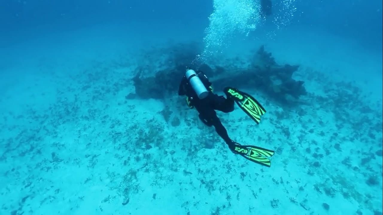 Finding the Lost Pilots of WW2
