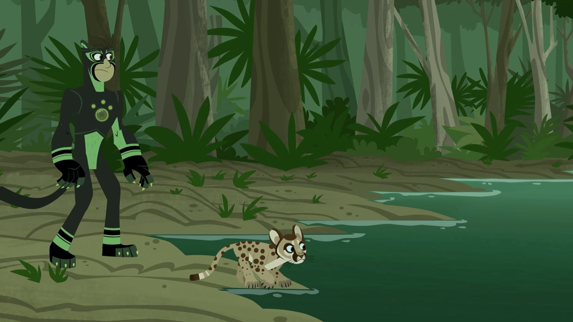 Search for the Florida Panther