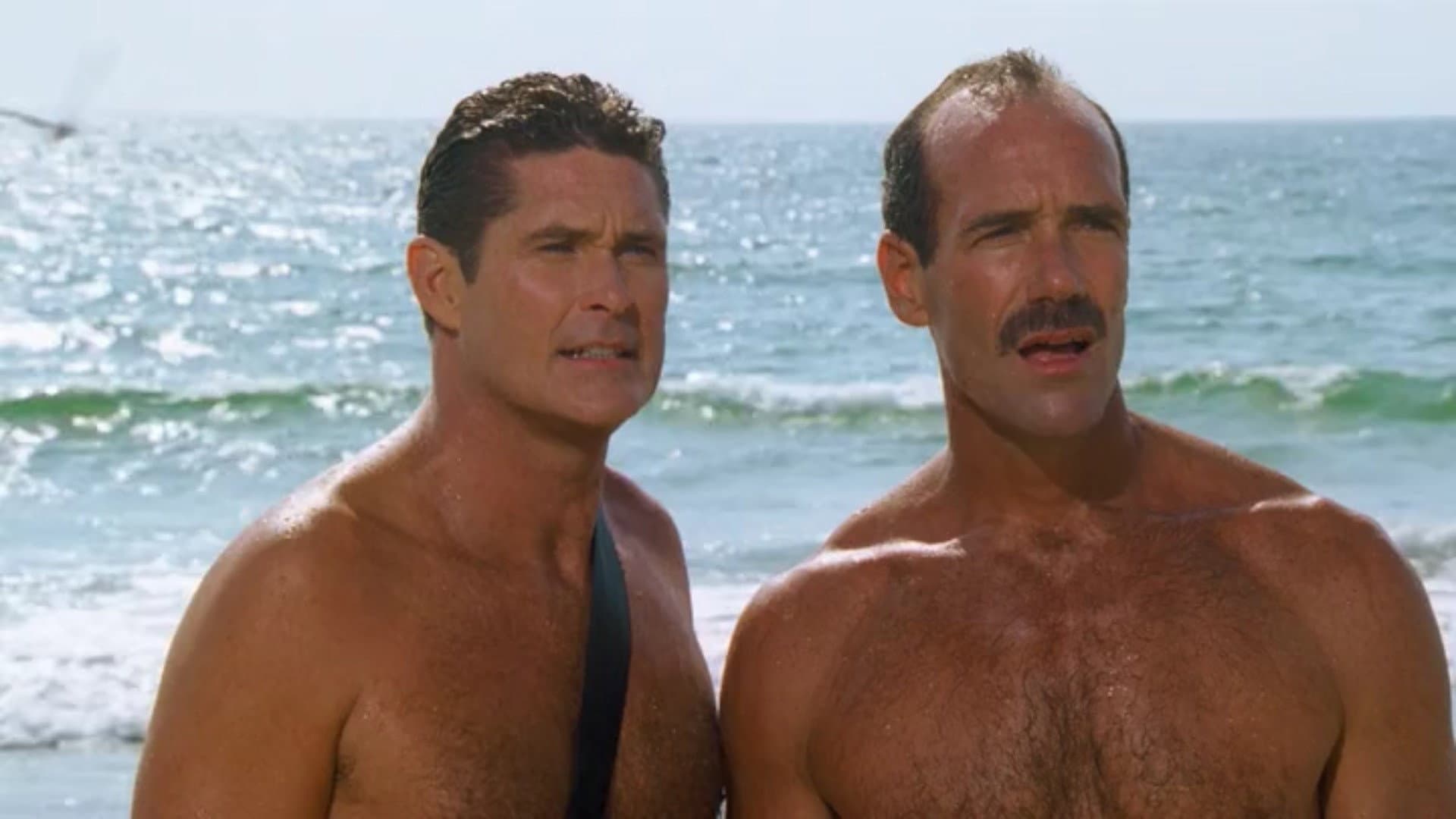 Lifeguard Confidential