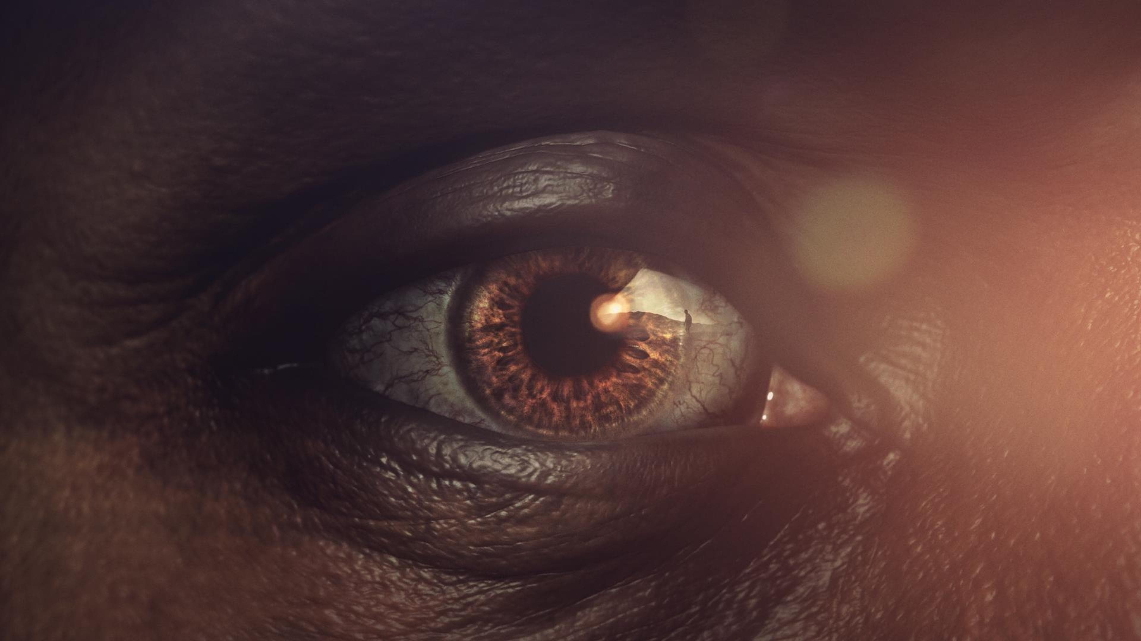 Human: Origins