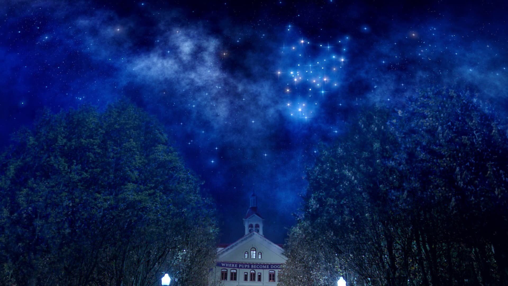 The Constellation Fades