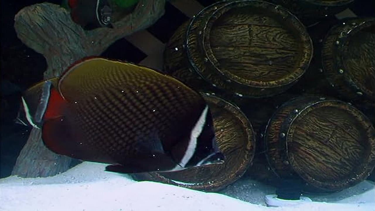 Spin the Bottles