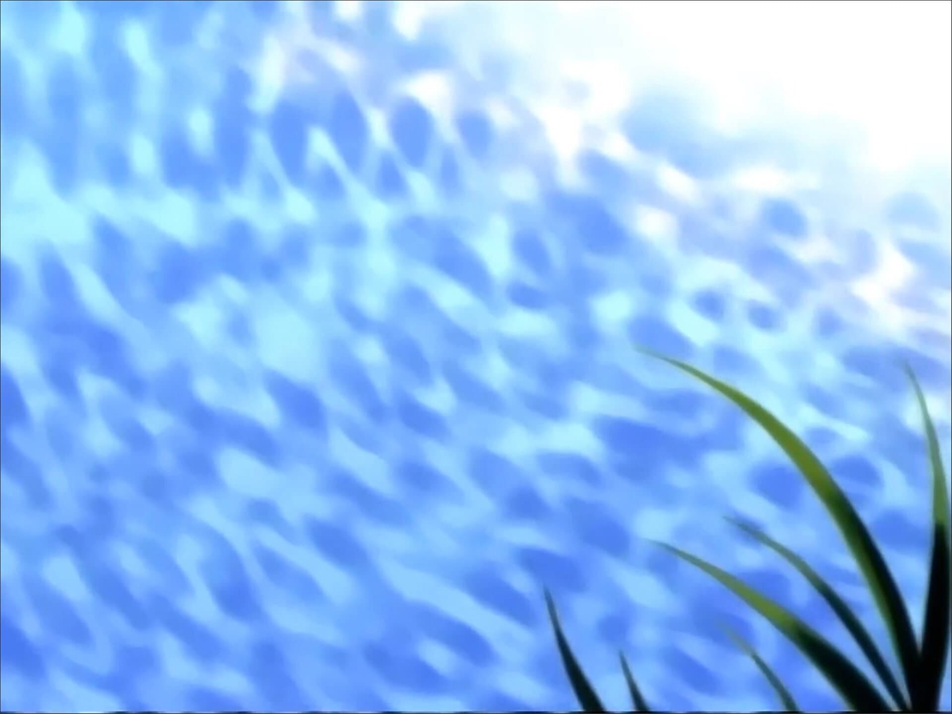 The Unending Revolution: A Destiny Forced Upon Kaishu