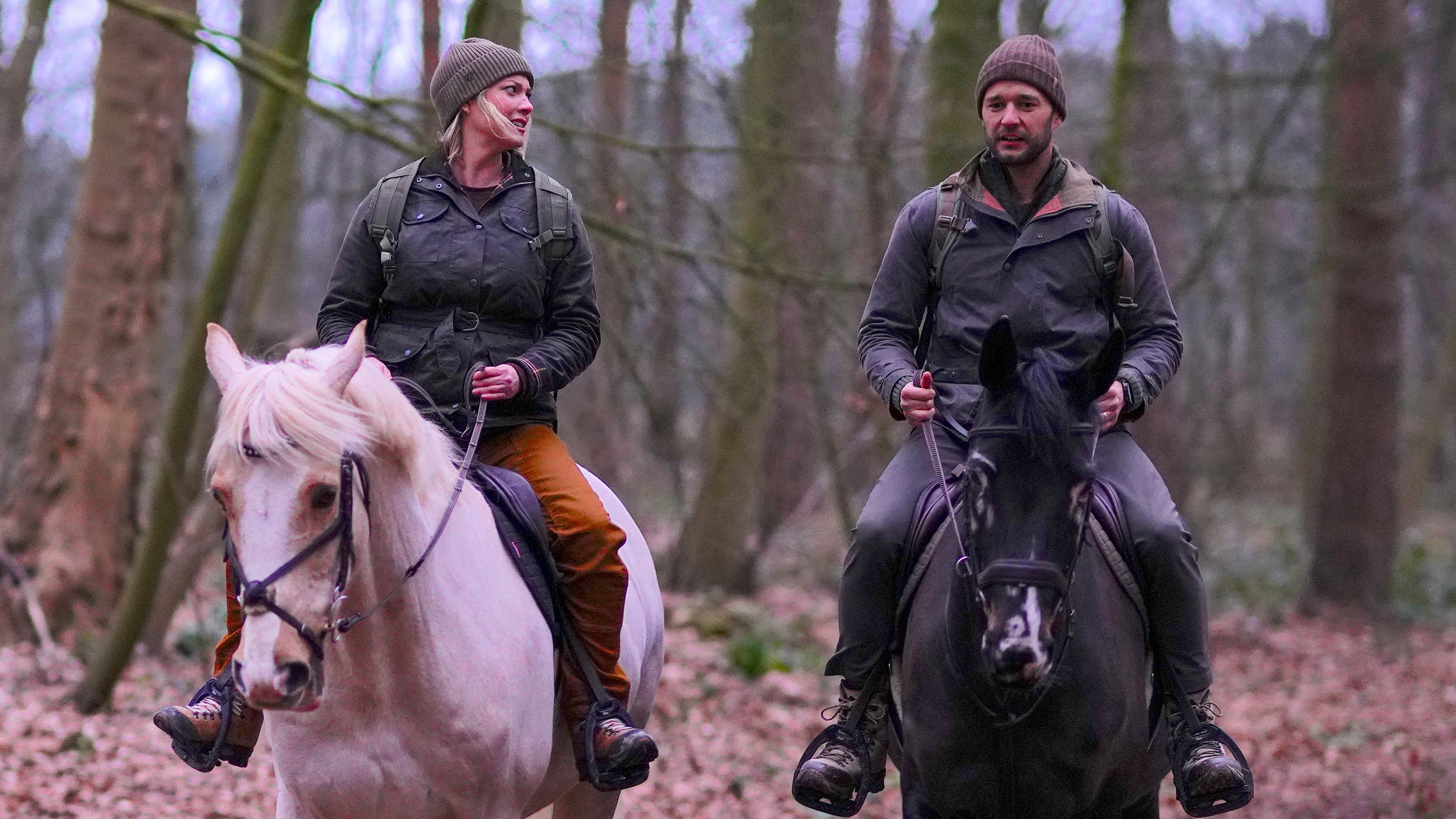 Secrets of Sherwood Forest