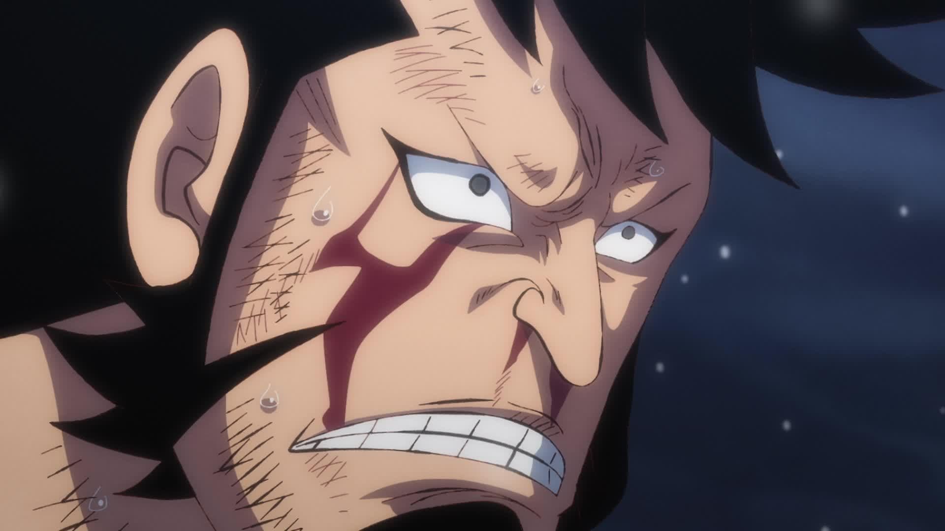I Won’t Forgive Him! Chopper’s Determination!