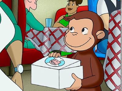 Special Delivery Monkey