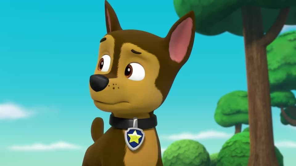 Pups Save Mayor Goodway's Purse
