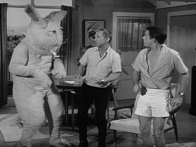 To Make a Rabbit Stew- First Catch a Martian