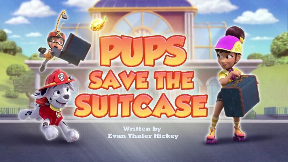 Pups Save the Suitcase