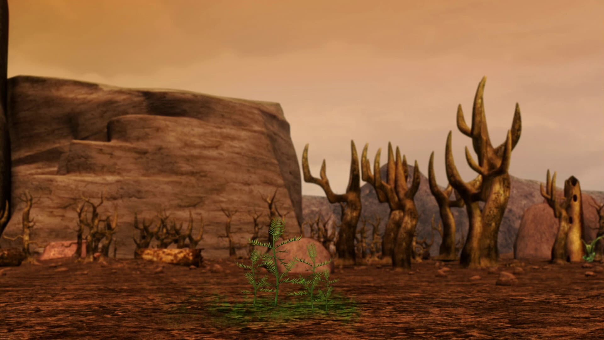 The Forest Fire