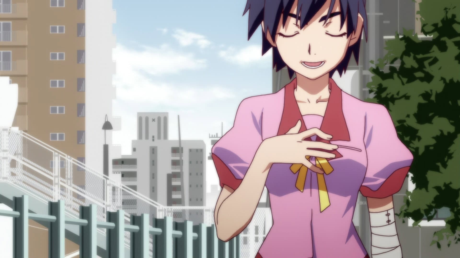 Suruga Monkey (1)