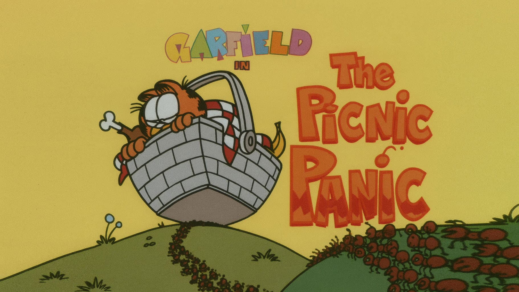 The Picnic Panic