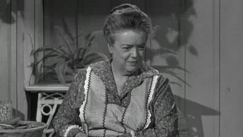 Aunt Bee's Brief Encounter