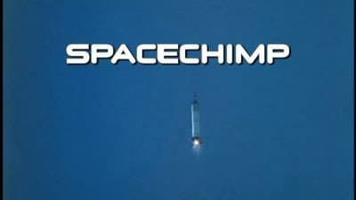 Spacechimp