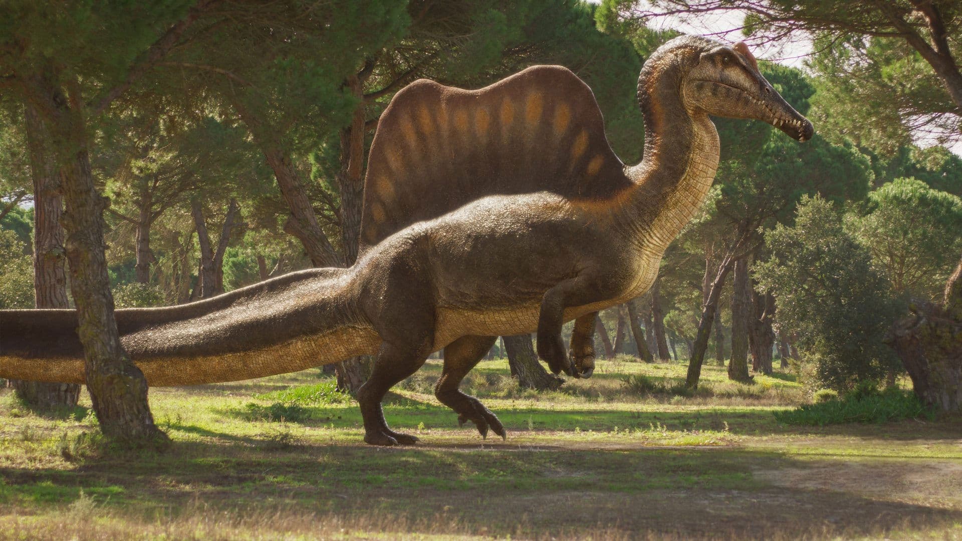 The River Dragon