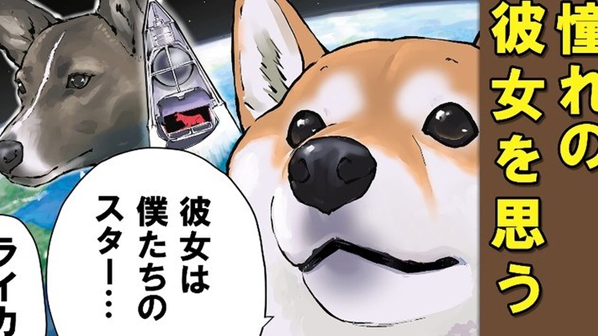A Certain Dog`s Long Journey