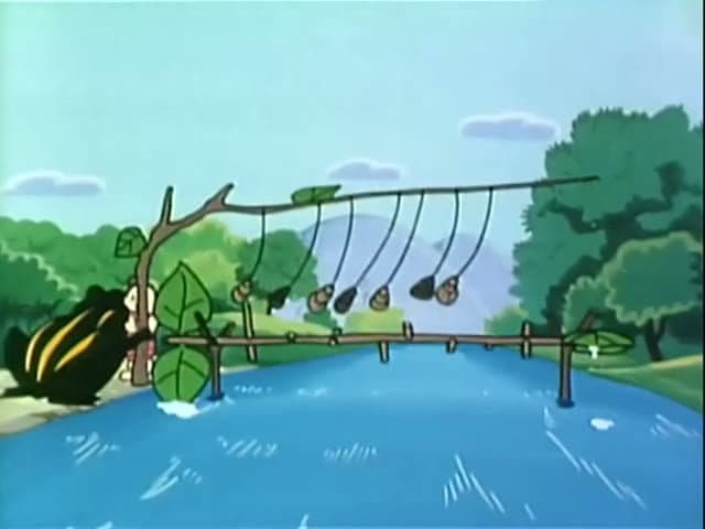 Stylish frog gymnastics