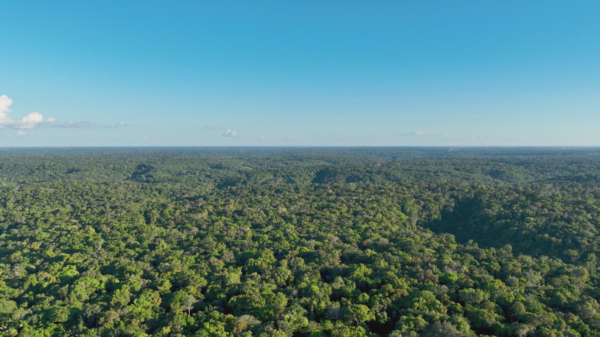 Secrets of the Amazon