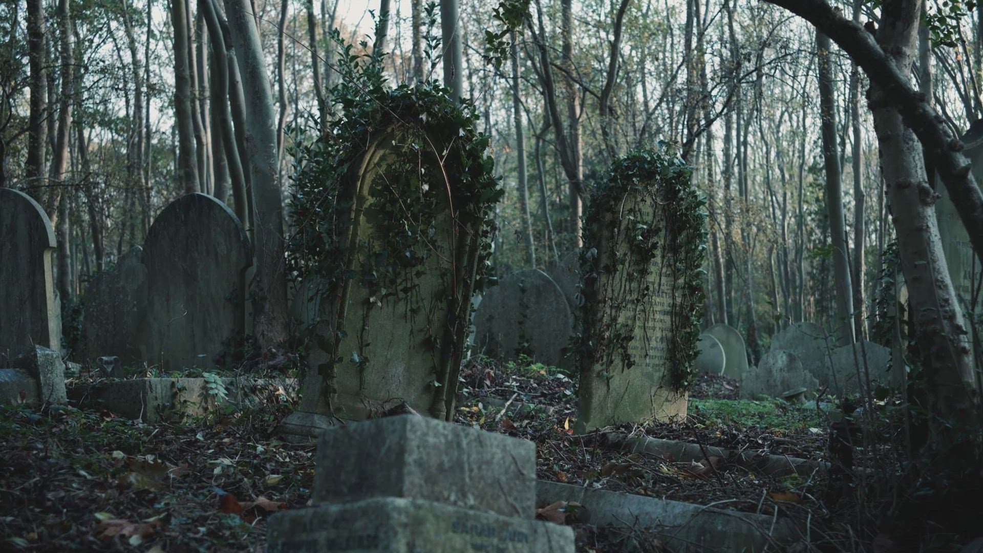 Mysterious Urban Legends