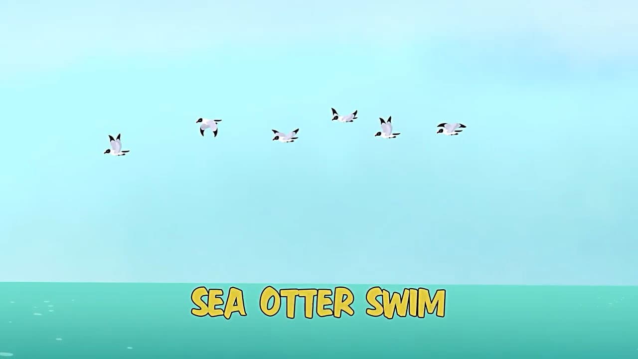 Sea Otter Swim