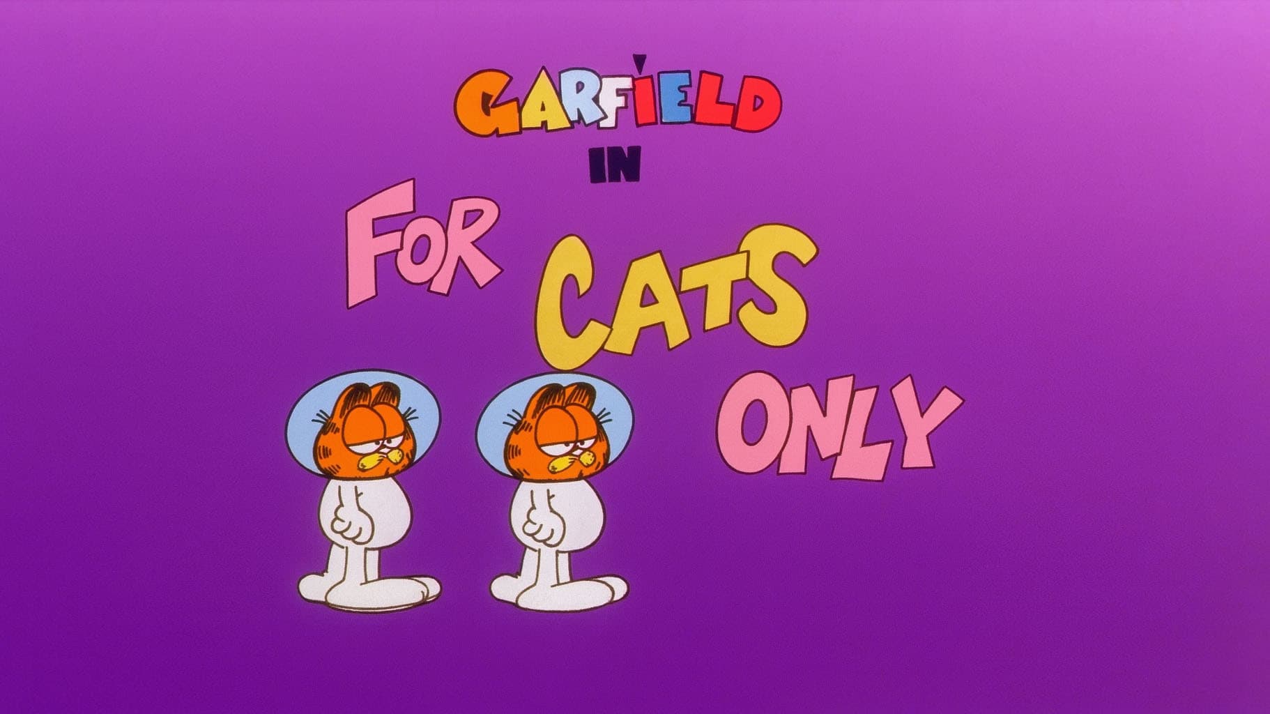 For Cats Only