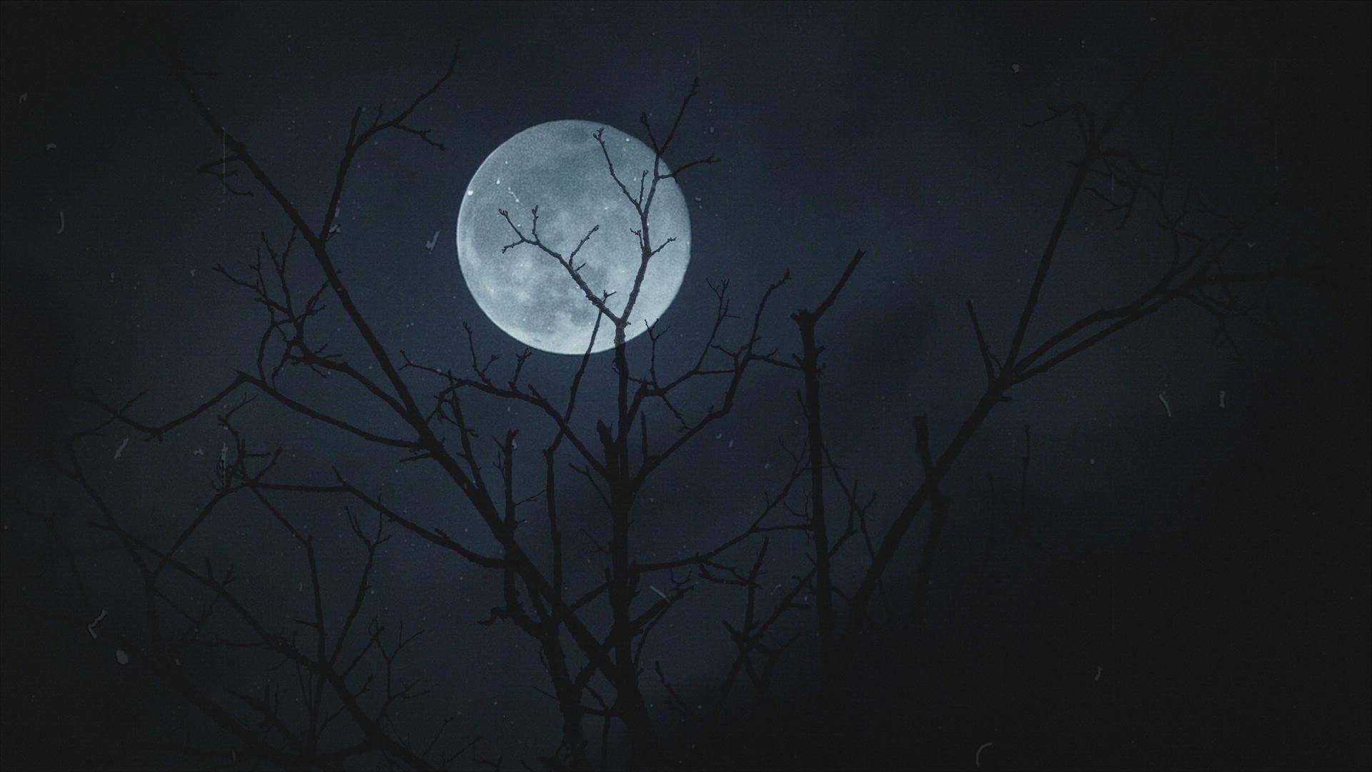 When Darkness Falls