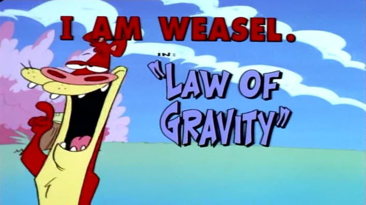 Law of Gravity