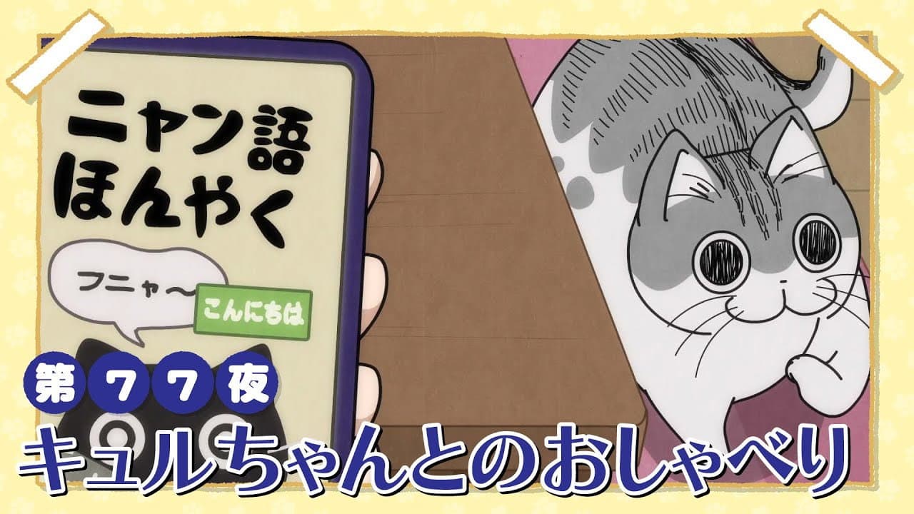 Night 77: Talking with Kyuru-chan