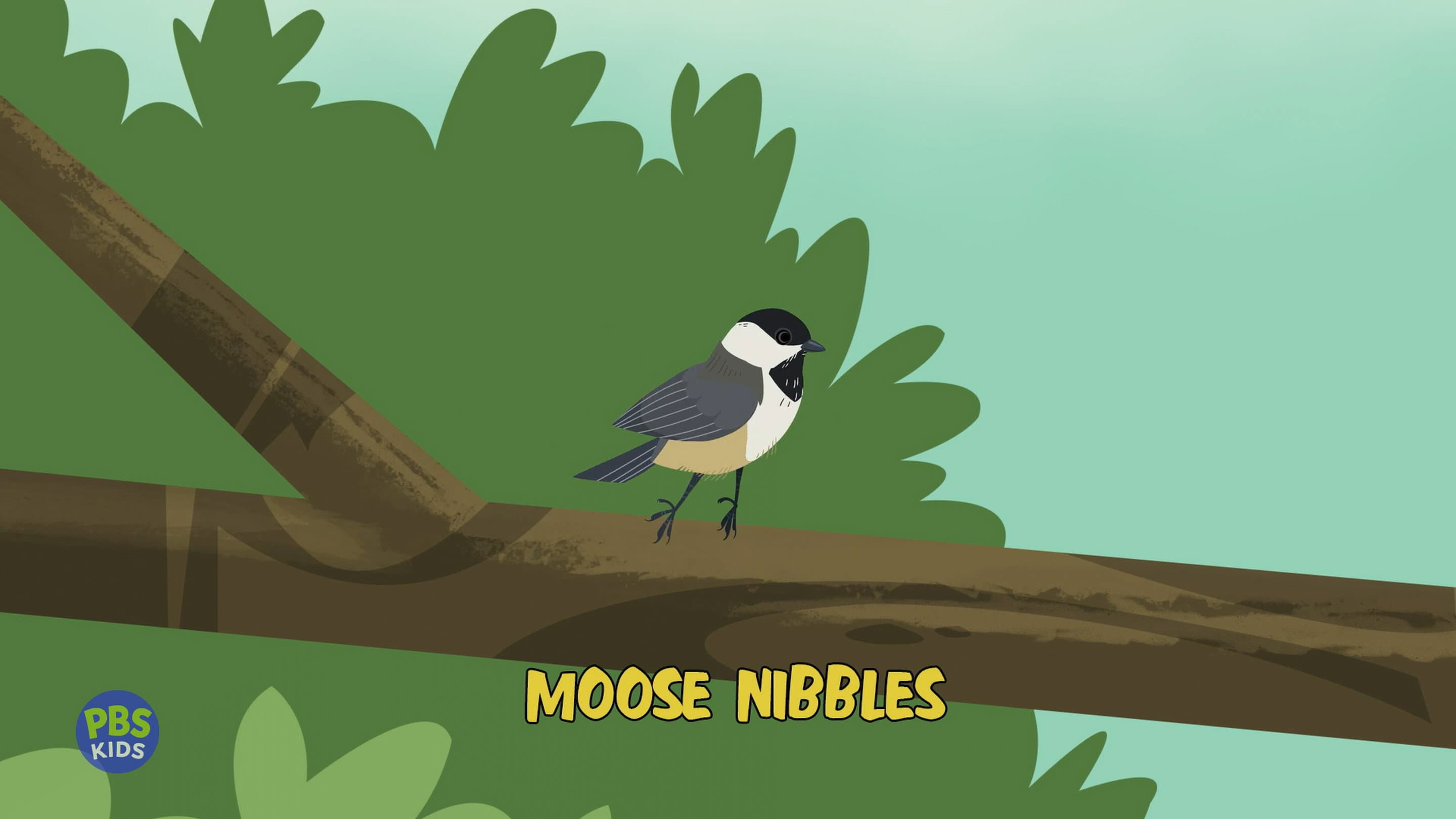 Moose Nibbles