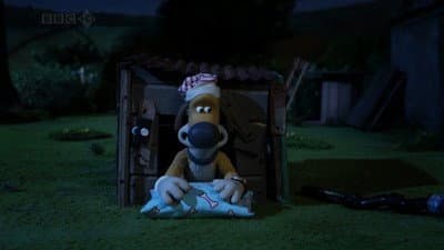 In The Doghouse