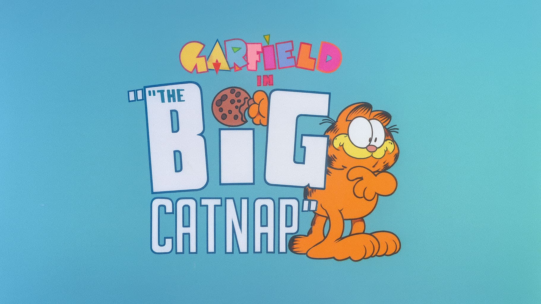 The Big Catnap