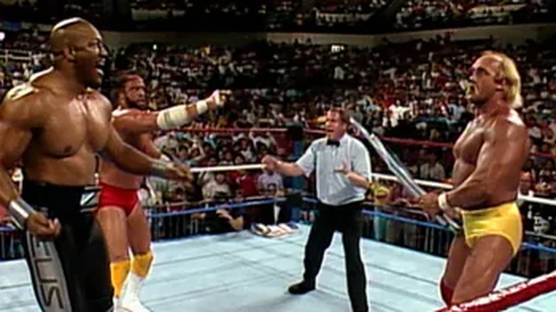 Saturday Night's Main Event - Jul 29, 1989