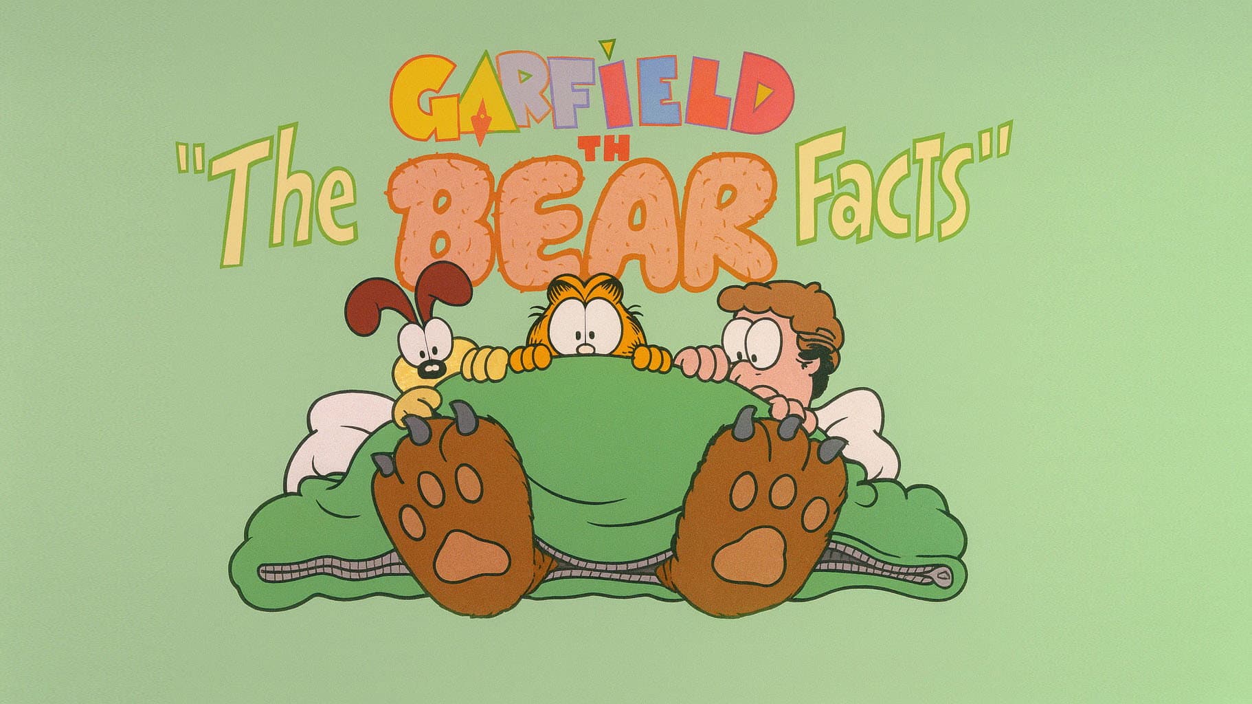 The Bear Facts