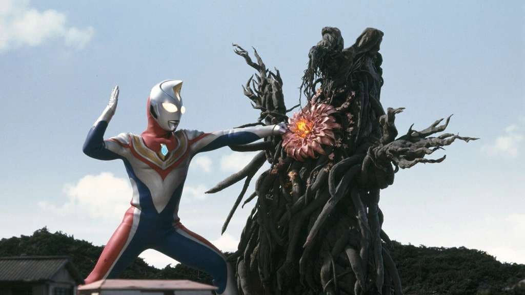 The Tree of Jagira