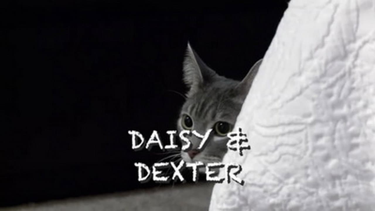 Stalking Miss Daisy