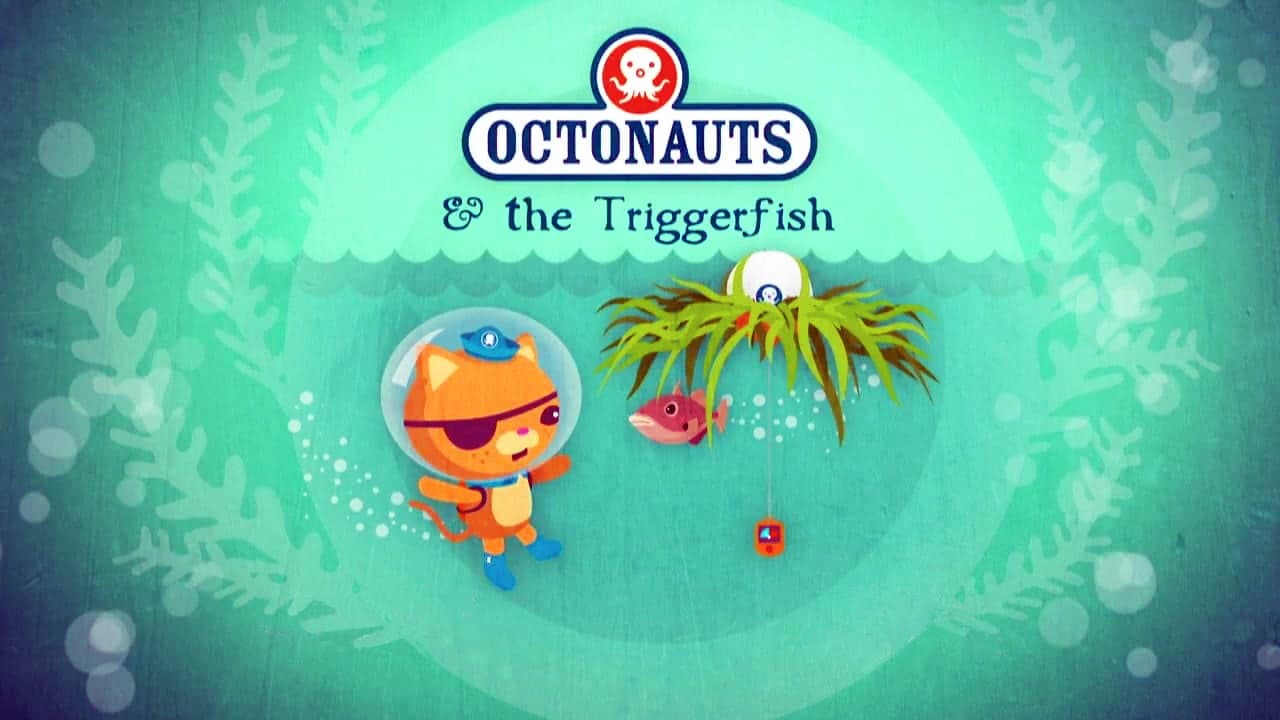 The Triggerfish