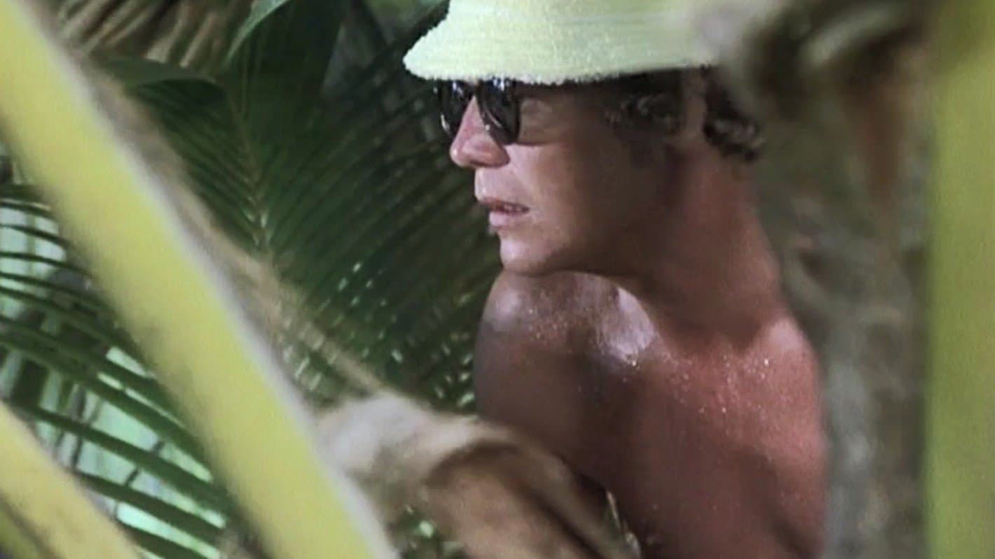 Starsky & Hutch on Playboy Island (a.k.a. Murder on Voodoo Island) (1)