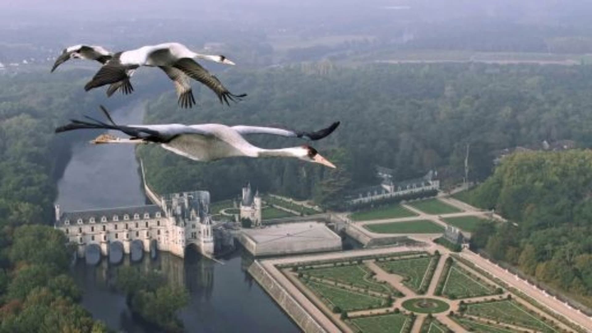 Earthflight: Europe