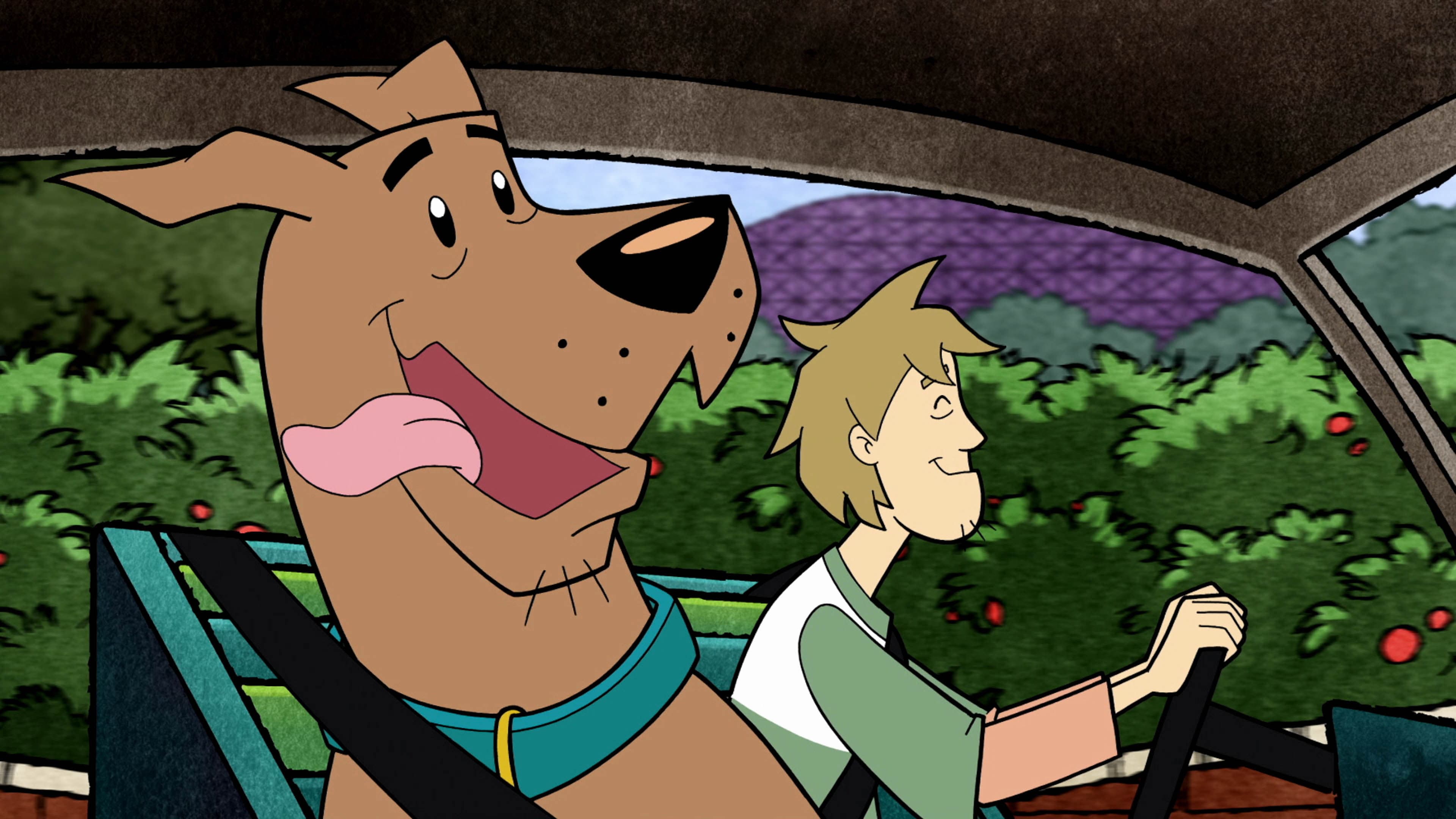 Shaggy and Scooby World