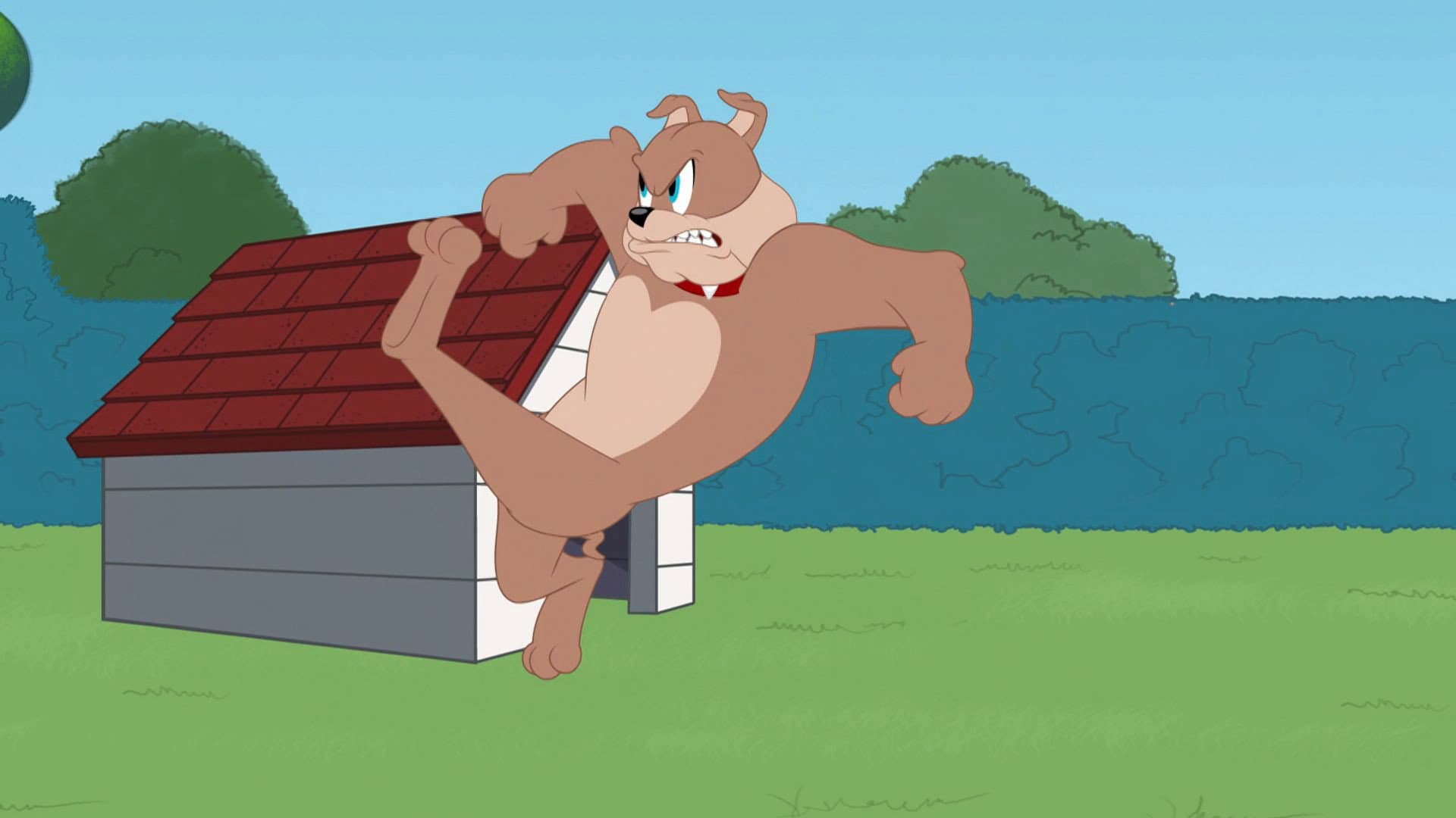 Jerry Rigged