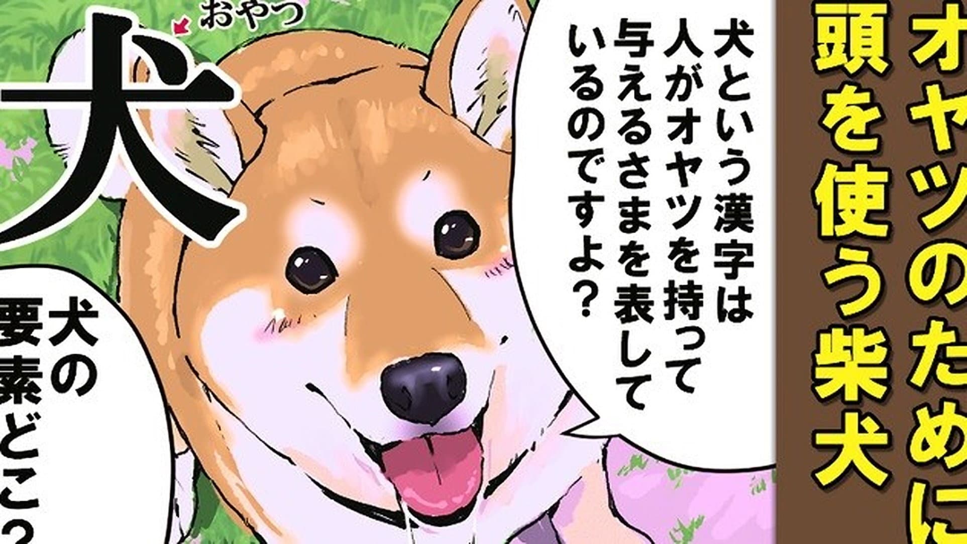 Special Lecture 1 / Special Lecture 2 / Dogs and Kanji 1 / Dogs and Kanji 2