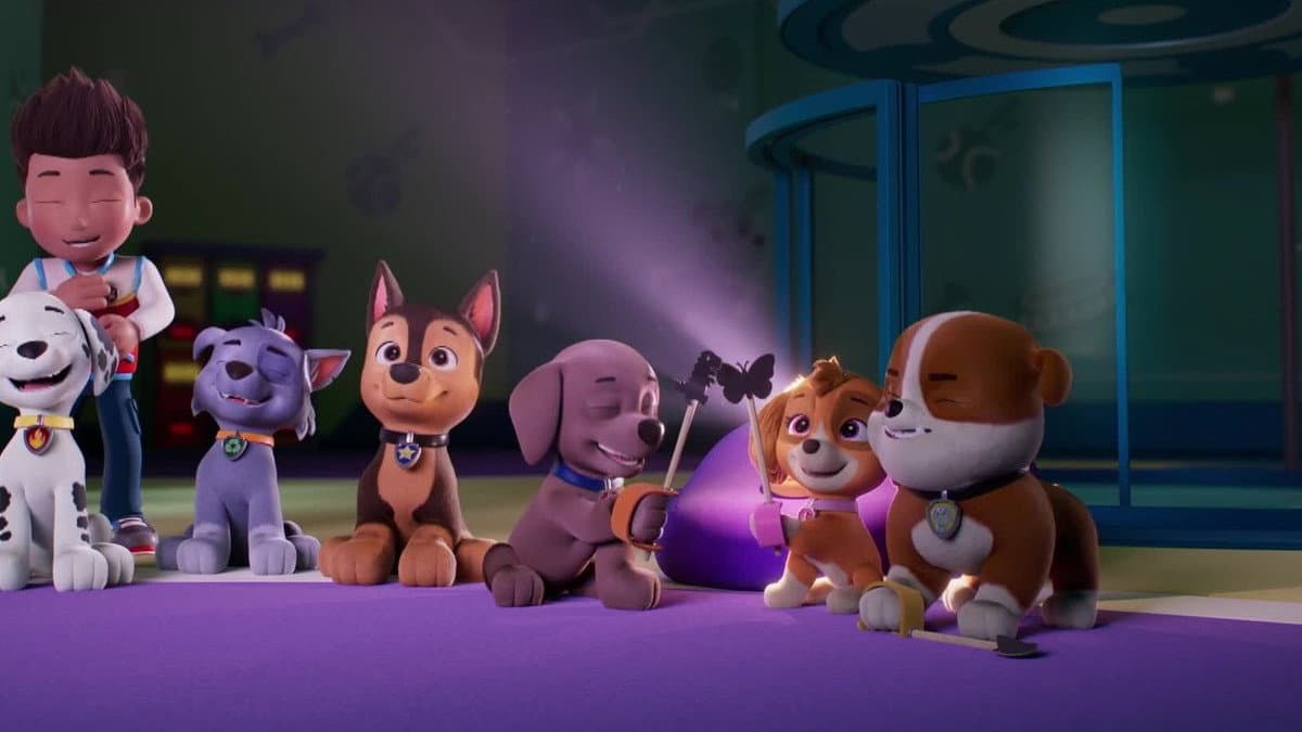 Pups Save the Big Nightlight