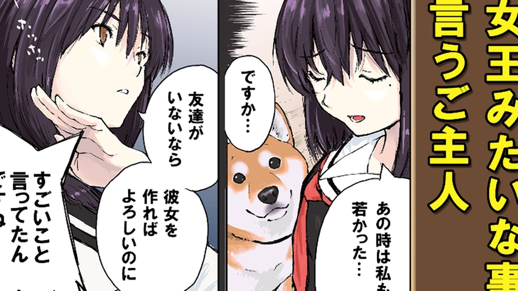 The Misunderstood Ones (Master`s Story) / The Misunderstood Ones (Shiba Inu Story)