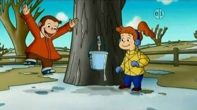 Maple Monkey Madness