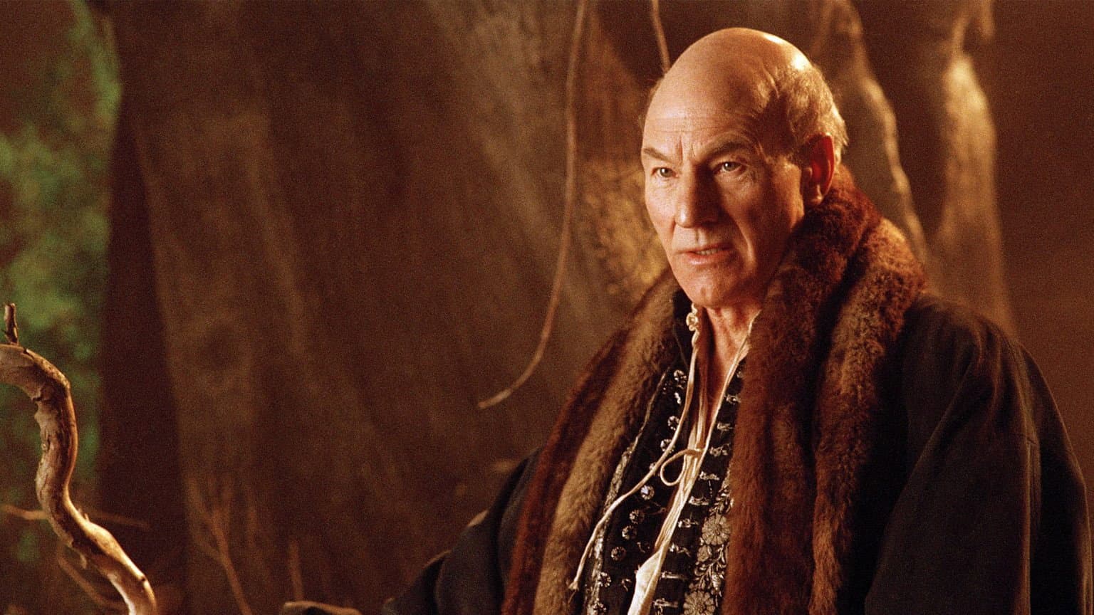 Patrick Stewart