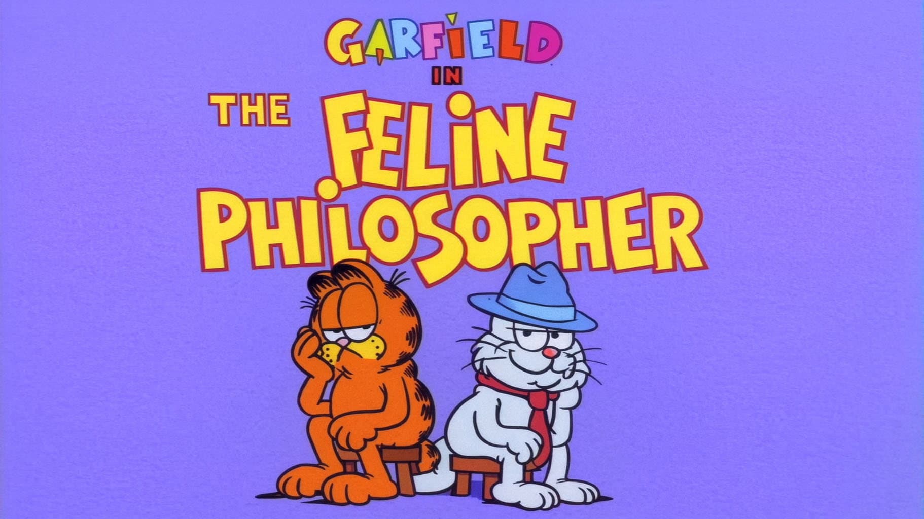 The Feline Philosopher