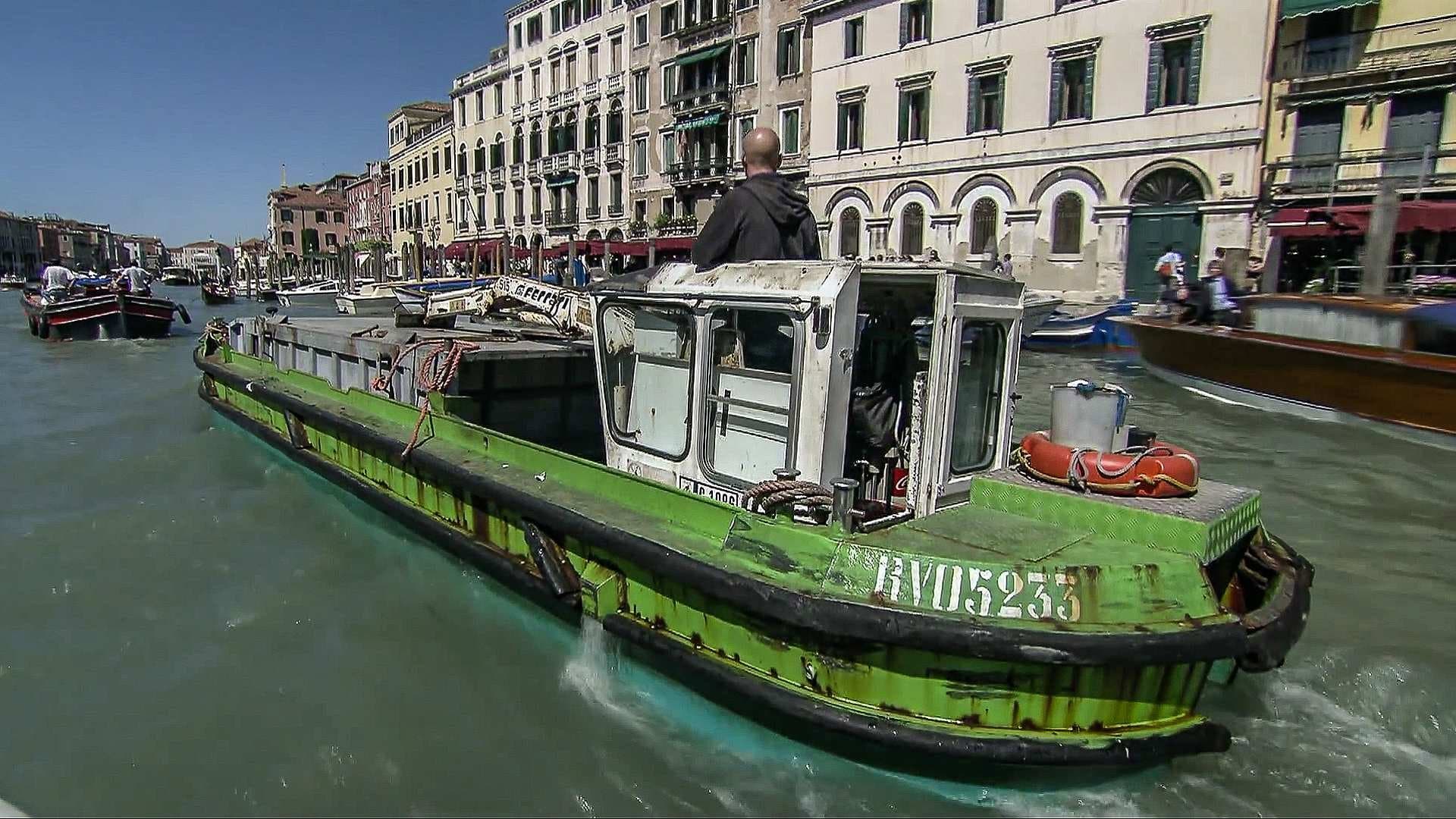 Trash Collecting in Venice, Australian Sheepskin, Pond Algae
