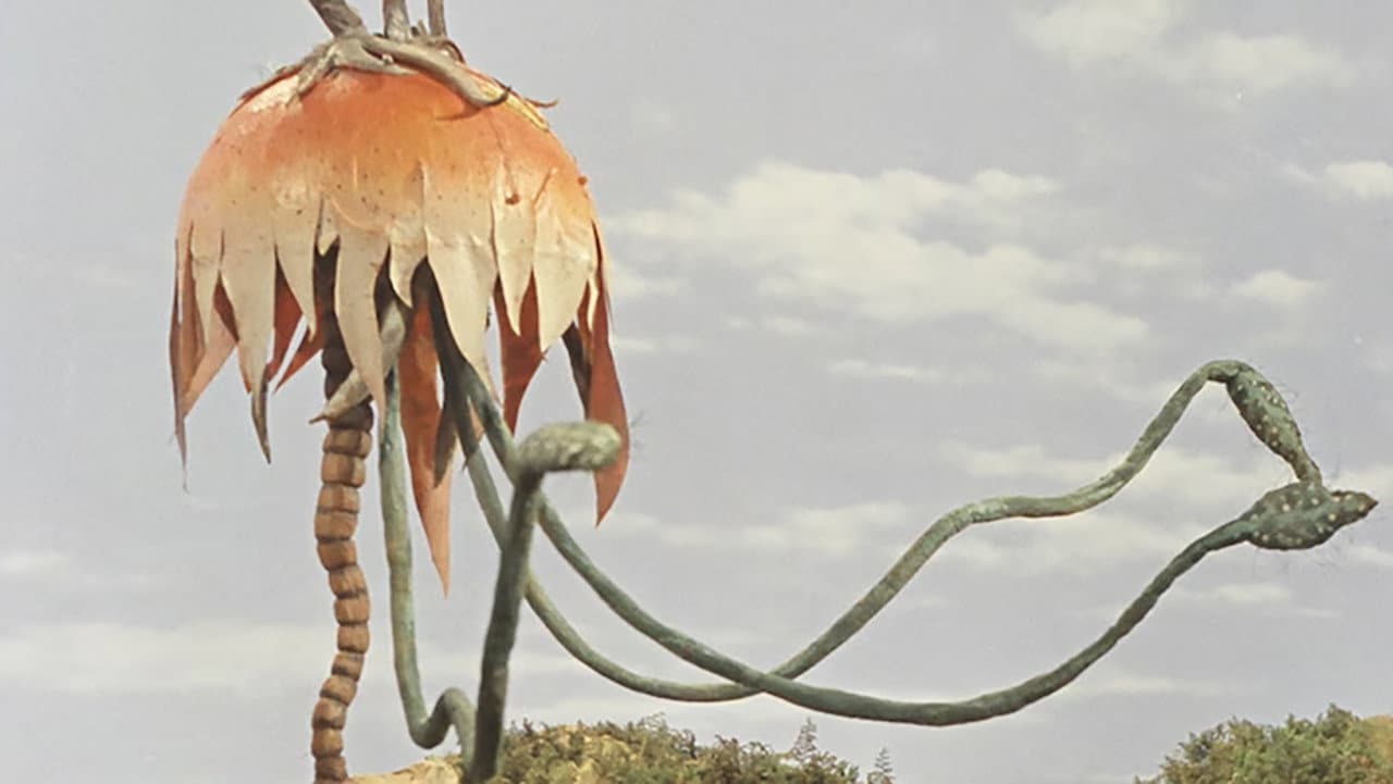 The Flying Jellyfish